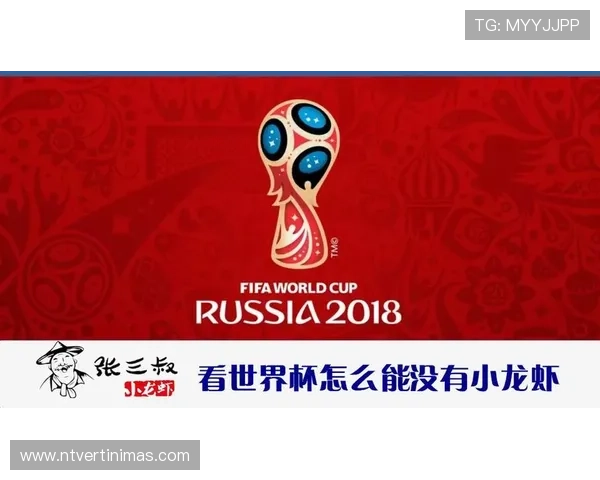 世界杯比利时埃及比赛门票预订流程及购票注意事项全面解析 世界杯比利时埃及比赛门票预订流程及购票注意事项全面解析