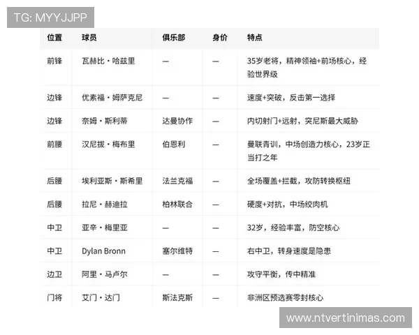 世界杯瑞典突尼斯比赛主力阵容详细分析与战术布局解析